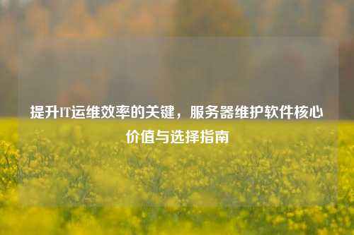 提升IT运维效率的关键，服务器维护软件核心价值与选择指南