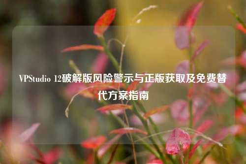 VPStudio 12破解版风险警示与正版获取及免费替代方案指南