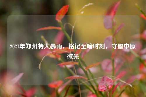 2021年郑州特大暴雨,铭记至暗时刻,守望中原微光
