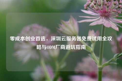 零成本创业首选,深圳云服务器免费试用全攻略与ODM厂商避坑指南