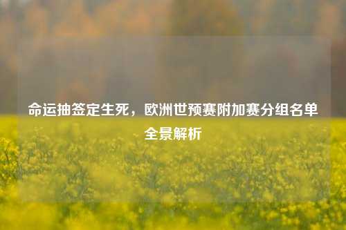 命运抽签定生死，欧洲世预赛附加赛分组名单全景解析