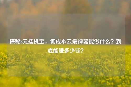 探秘3元挂机宝，低成本云端神器能做什么？到底能赚多少钱？