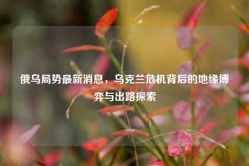 俄乌局势最新消息，乌克兰危机背后的地缘博弈与出路探索