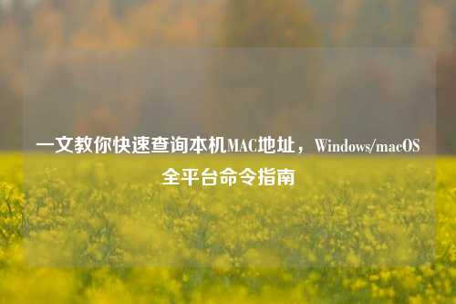 一文教你快速查询本机MAC地址,Windows/macOS全平台命令指南