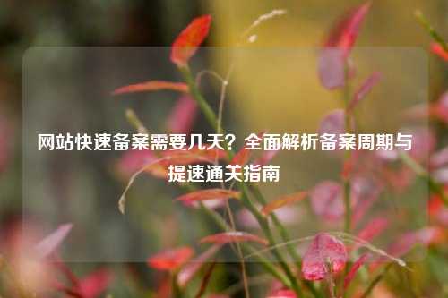网站快速备案需要几天?全面解析备案周期与提速通关指南