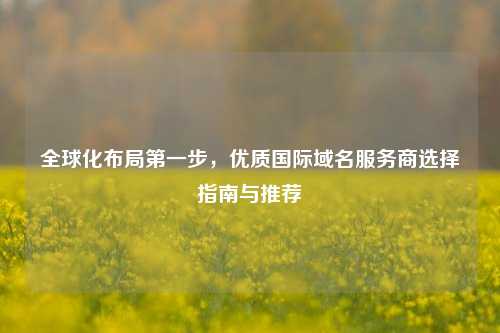 全球化布局第一步,优质国际域名服务商选择指南与推荐