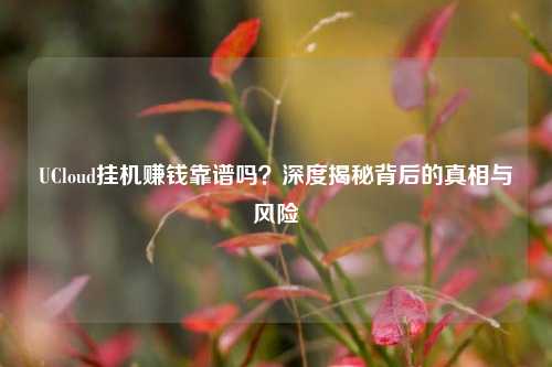 UCloud挂机赚钱靠谱吗?深度揭秘背后的真相与风险