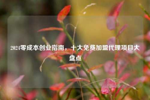 2024零成本创业指南，十大免费加盟代理项目大盘点