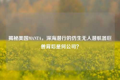 揭秘美国MANTA,深海潜行的仿生无人潜航器巨兽背后是何公司?