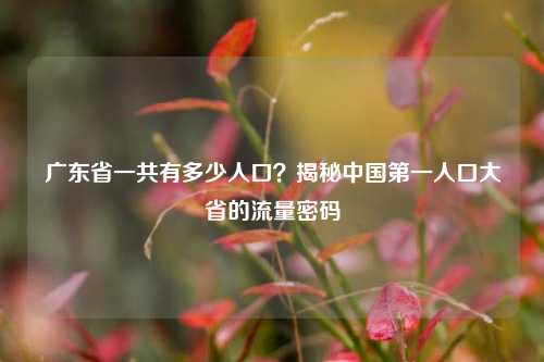 广东省一共有多少人口？揭秘中国第一人口大省的流量密码