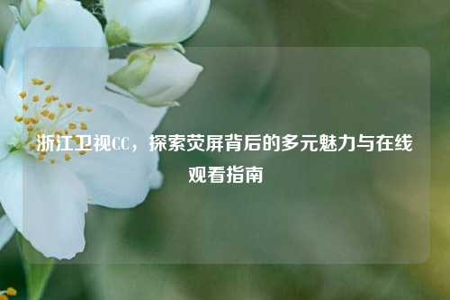 浙江卫视CC，探索荧屏背后的多元魅力与在线观看指南