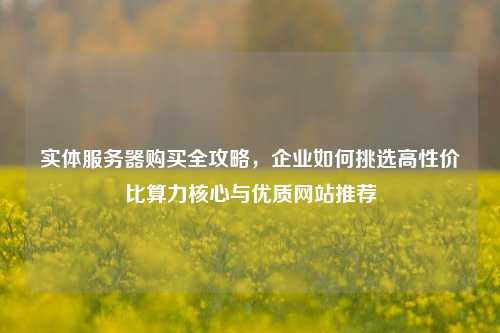 实体服务器购买全攻略,企业如何挑选高性价比算力核心与优质网站推荐