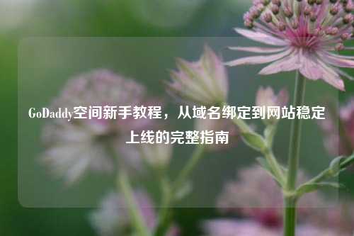 GoDaddy空间新手教程,从域名绑定到网站稳定上线的完整指南