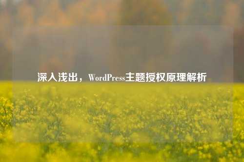 深入浅出,WordPress主题授权原理解析