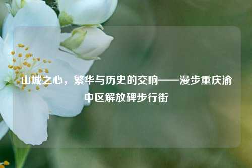 山城之心，繁华与历史的交响——漫步重庆渝中区解放碑步行街