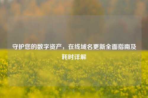 守护您的数字资产,在线域名更新全面指南及耗时详解