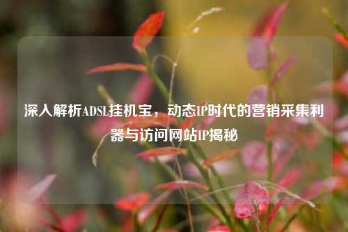 深入解析ADSL挂机宝,动态IP时代的营销采集利器与访问网站IP揭秘