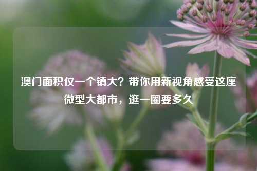 澳门面积仅一个镇大?带你用新视角感受这座微型大都市,逛一圈要多久