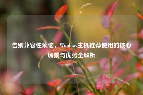 告别兼容性烦恼,Windows主机推荐使用的核心场景与优势全解析