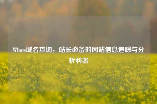 Whois域名查询,站长必备的网站信息追踪与分析利器