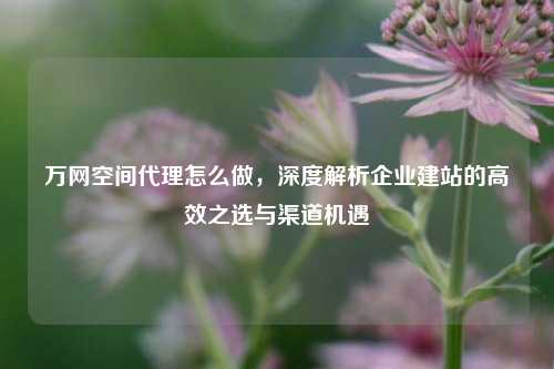 万网空间代理怎么做,深度解析企业建站的高效之选与渠道机遇