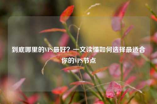 到底哪里的VPS最好?一文读懂如何选择最适合你的VPS节点