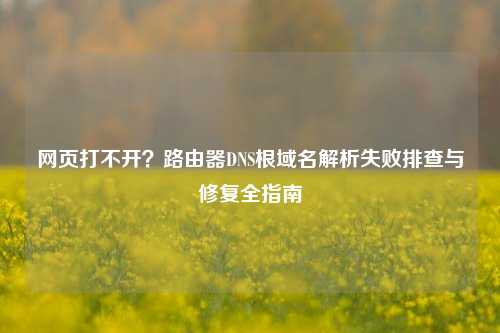 网页打不开?路由器DNS根域名解析失败排查与修复全指南