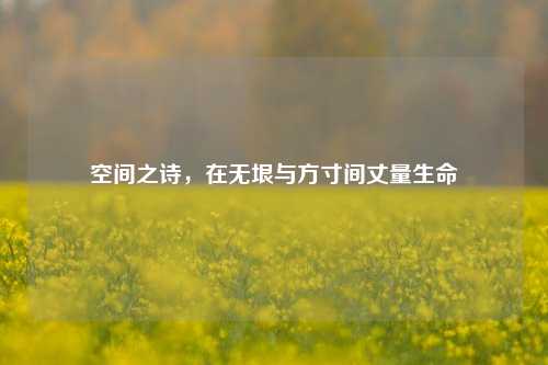 空间之诗，在无垠与方寸间丈量生命