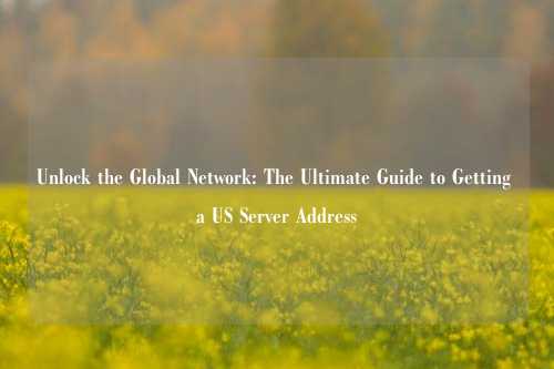 Unlock the Global Network: The Ultimate Guide to Getting a US Server Address