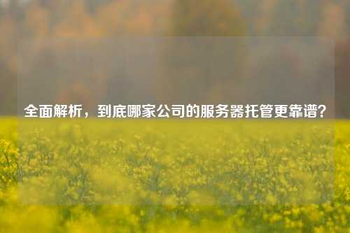 全面解析，到底哪家公司的服务器托管更靠谱？