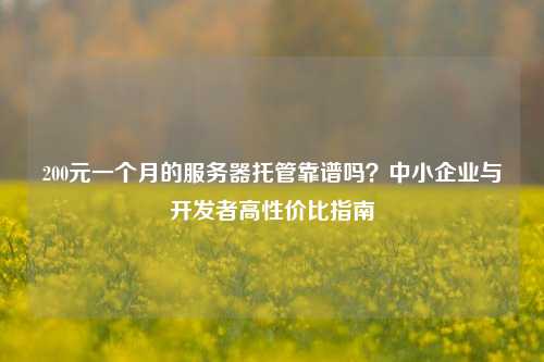 200元一个月的服务器托管靠谱吗？中小企业与开发者高性价比指南