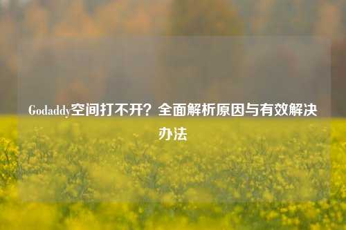 Godaddy空间打不开?全面解析原因与有效解决办法