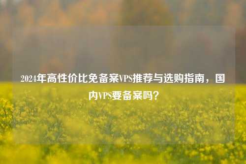 2024年高性价比免备案VPS推荐与选购指南，国内VPS要备案吗？