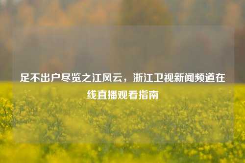 足不出户尽览之江风云，浙江卫视新闻频道在线直播观看指南
