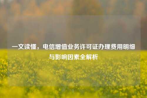 一文读懂,电信增值业务许可证办理费用明细与影响因素全解析