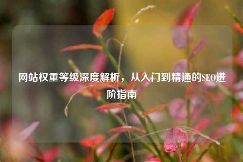 网站权重等级深度解析,从入门到精通的SEO进阶指南