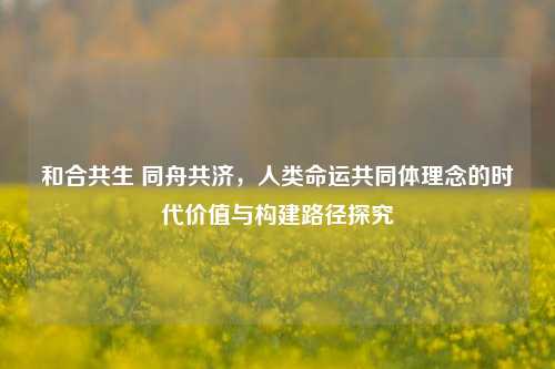 和合共生 同舟共济,人类命运共同体理念的时代价值与构建路径探究