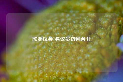 欧洲议会7名议员访问台北