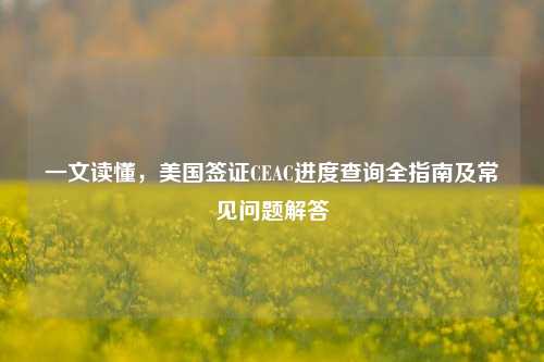 一文读懂，美国签证CEAC进度查询全指南及常见问题解答