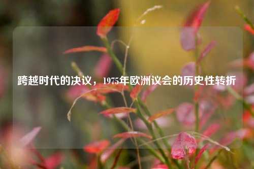 跨越时代的决议，1975年欧洲议会的历史性转折