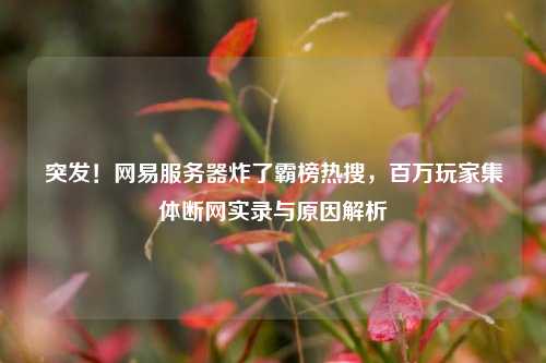 突发！网易服务器炸了霸榜热搜，百万玩家集体断网实录与原因解析