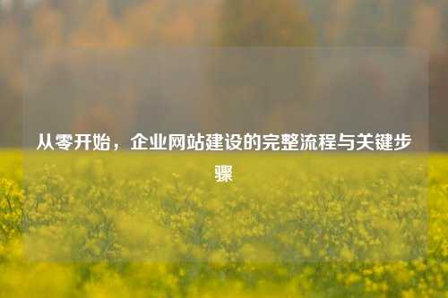 从零开始,企业网站建设的完整流程与关键步骤