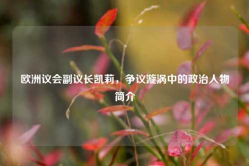 欧洲议会副议长凯莉，争议漩涡中的政治人物简介