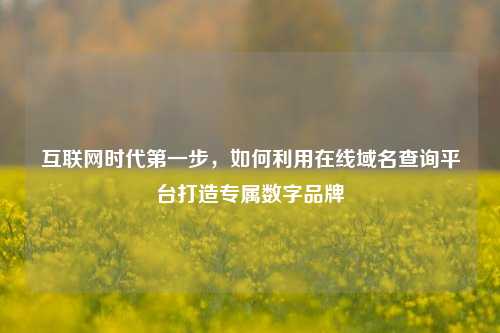 互联网时代第一步，如何利用在线域名查询平台打造专属数字品牌