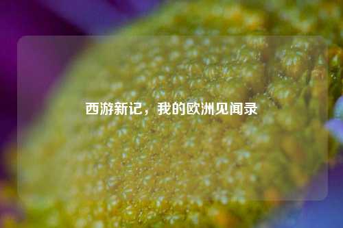 西游新记，我的欧洲见闻录