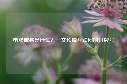 电脑域名是什么?一文读懂互联网的门牌号