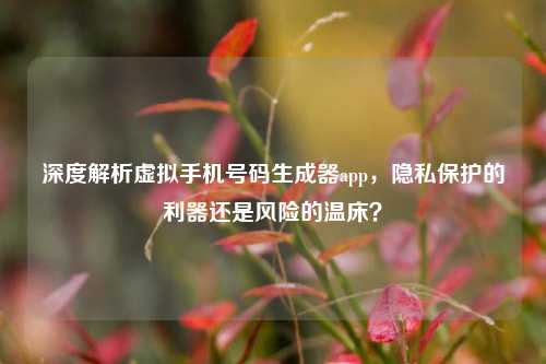 深度解析虚拟手机号码生成器app，隐私保护的利器还是风险的温床？