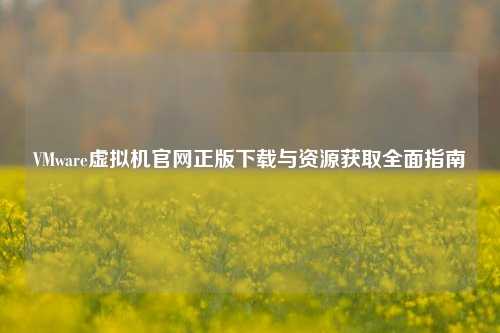 VMware虚拟机官网正版下载与资源获取全面指南
