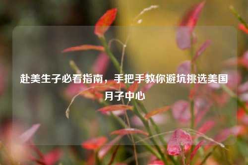 赴美生子必看指南，手把手教你避坑挑选美国月子中心
