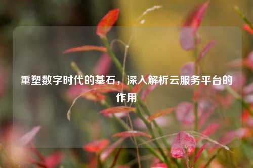 重塑数字时代的基石，深入解析云服务平台的作用